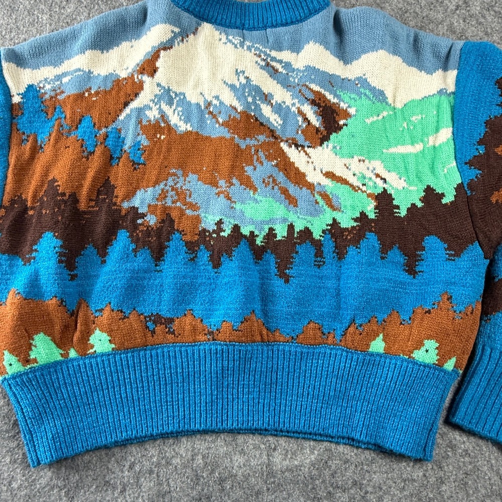 Urban Outfitters BDG Jesse Half-Zip Mountain Graphic Half-Zip Sweater, Large - Picture 10 of 12